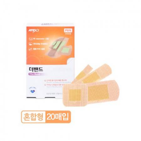 밴드