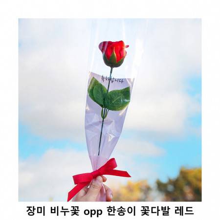 위크앤드 장미 비누꽃 opp 한송이 꽃다발 레드